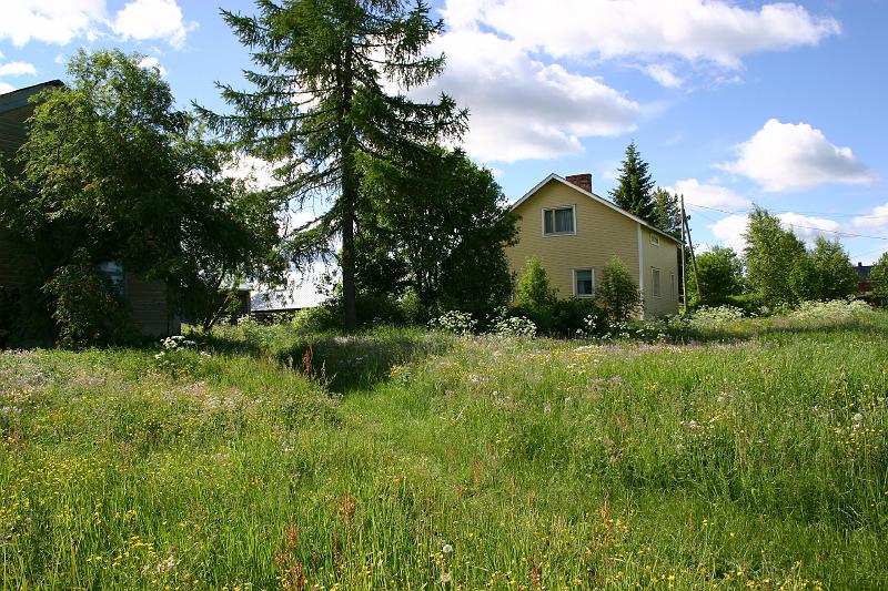 lehmila_juhannus_2005 043.jpg